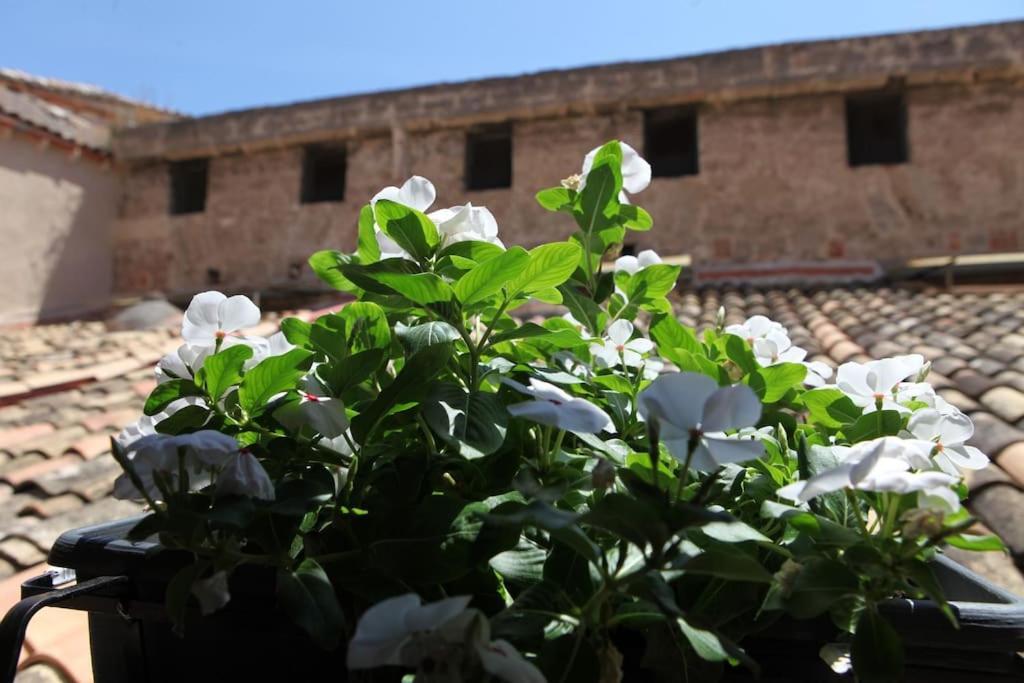 Sant'Anna Home Palermo Luaran gambar